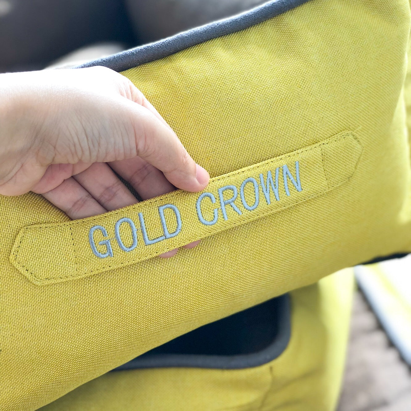 Washable Canvas Cat & Dog Nest