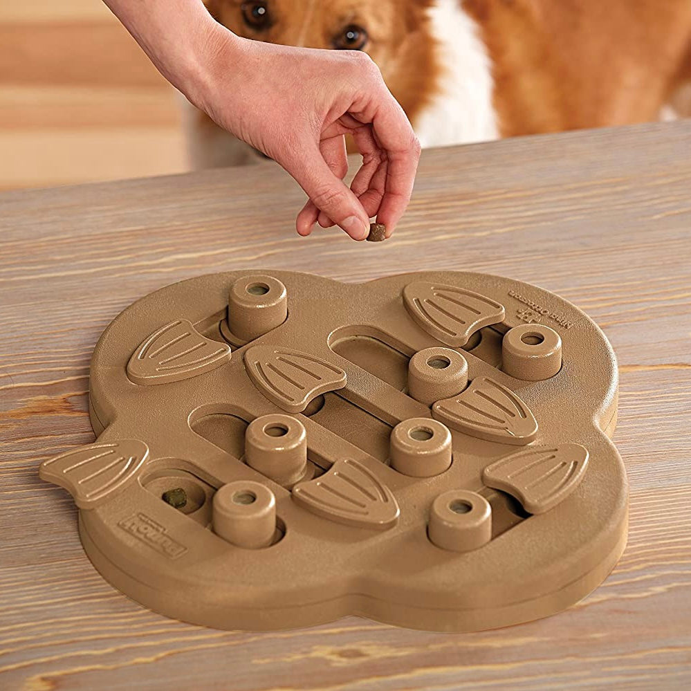 Interactive Treat Puzzle Toy