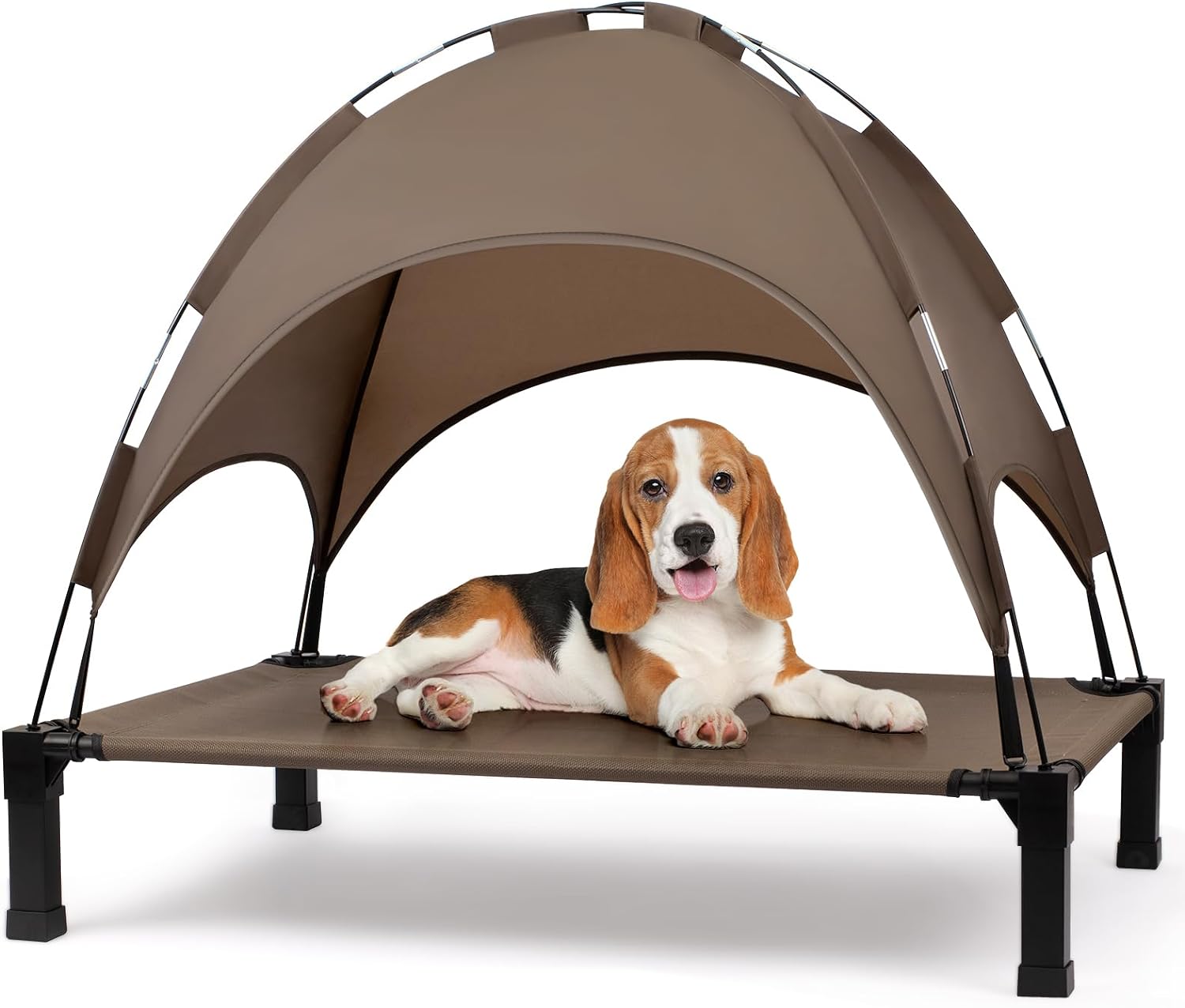 Elevated Dog Bed with Canopy