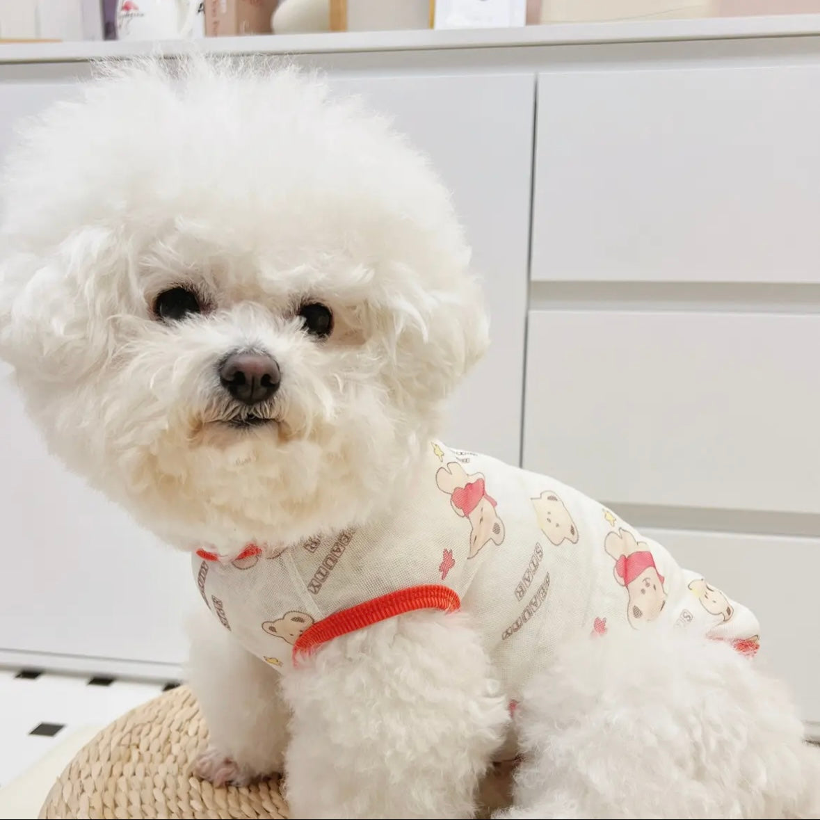 Small Dog Shirt Cute Puppy T Shirt Clothes