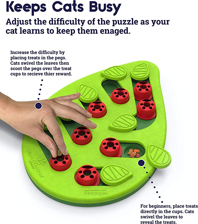Interactive Cat Treat Puzzle