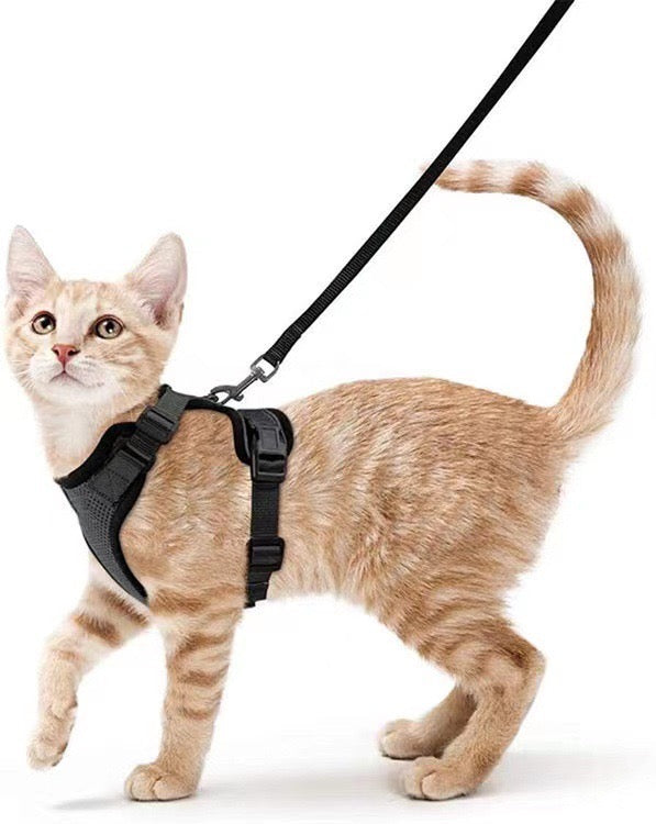 Cat Adjustable Strips Vest
