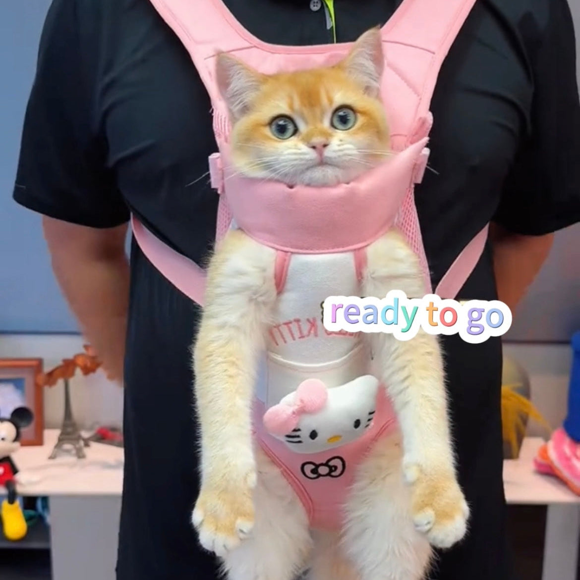 Cartoon Pet Front Carrier Backpack