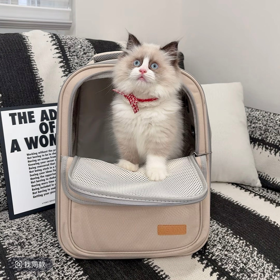 Pet Carrier Backpack