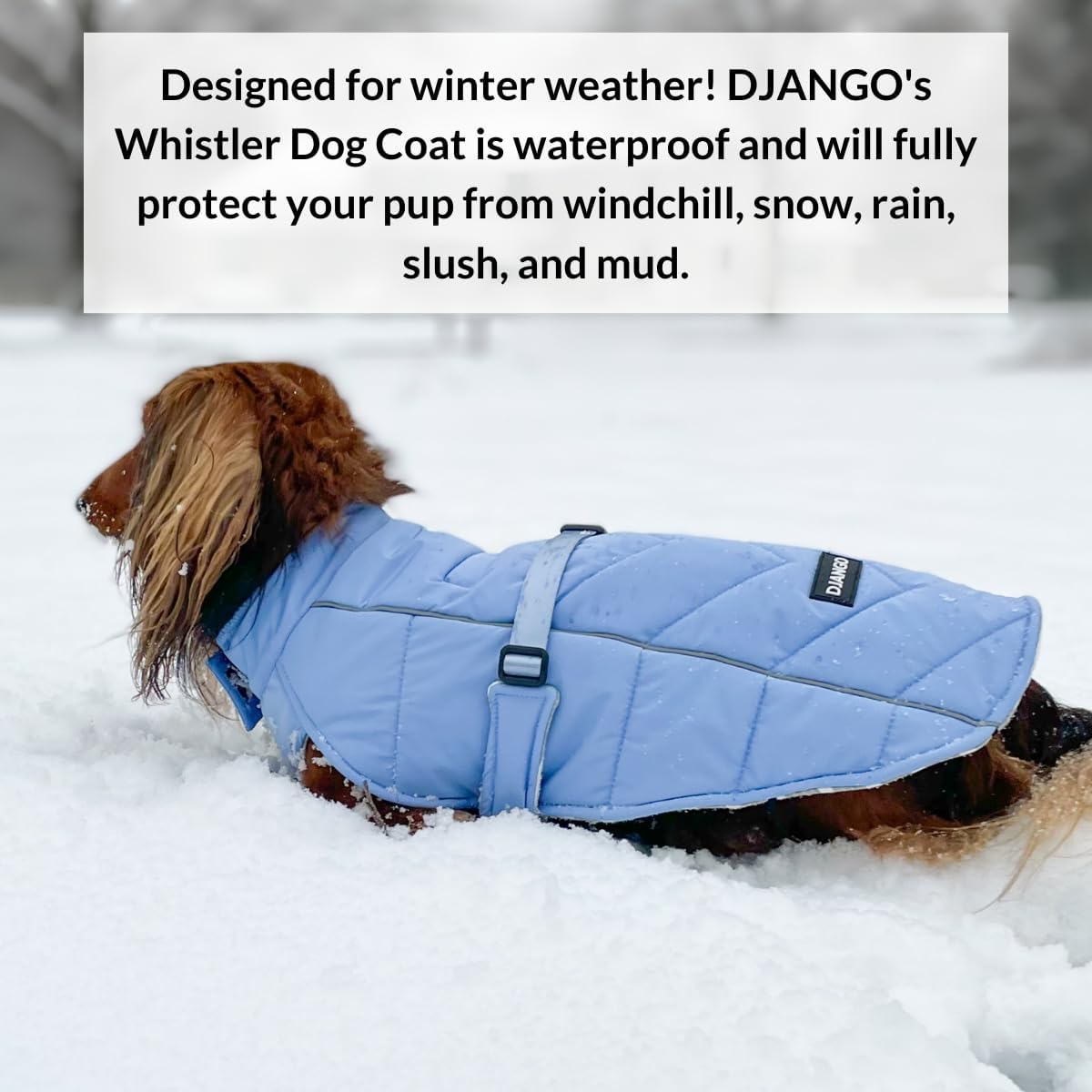 Winter Dog Coat
