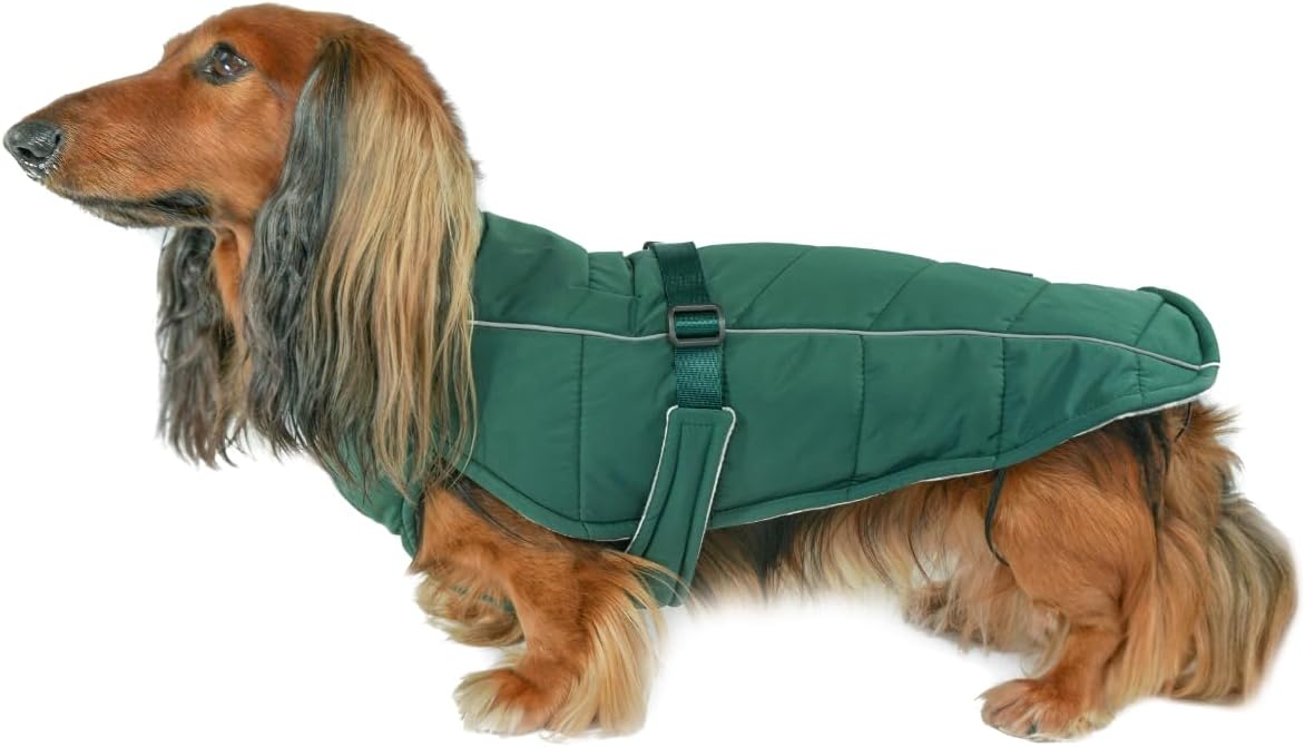 Winter Dog Coat