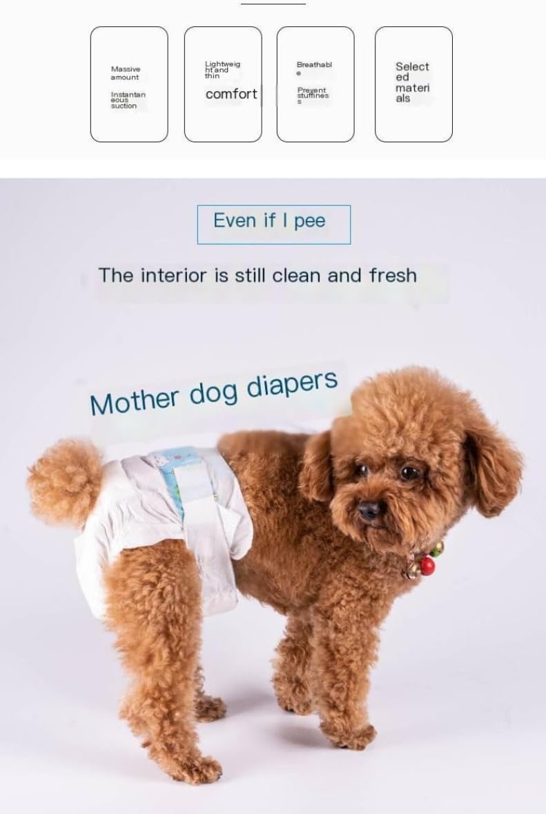 Dog Diapers Male,10 Count Dog Belly Bands for Male Dogs Wraps Disposable