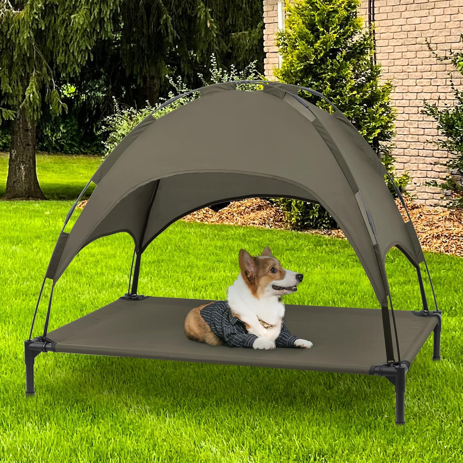 Elevated Dog Bed with Canopy