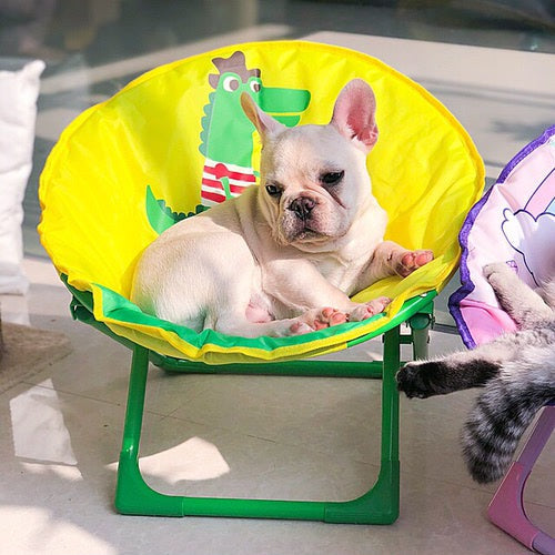 Cat chair, dog chair, Oxford cloth furniture, leisure chair, foldable