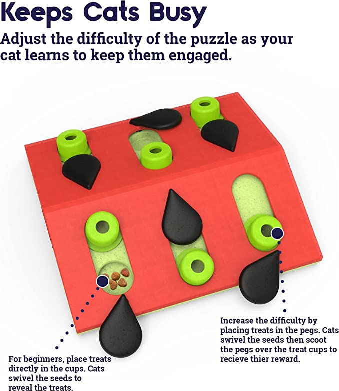 Interactive Cat Treat Puzzle