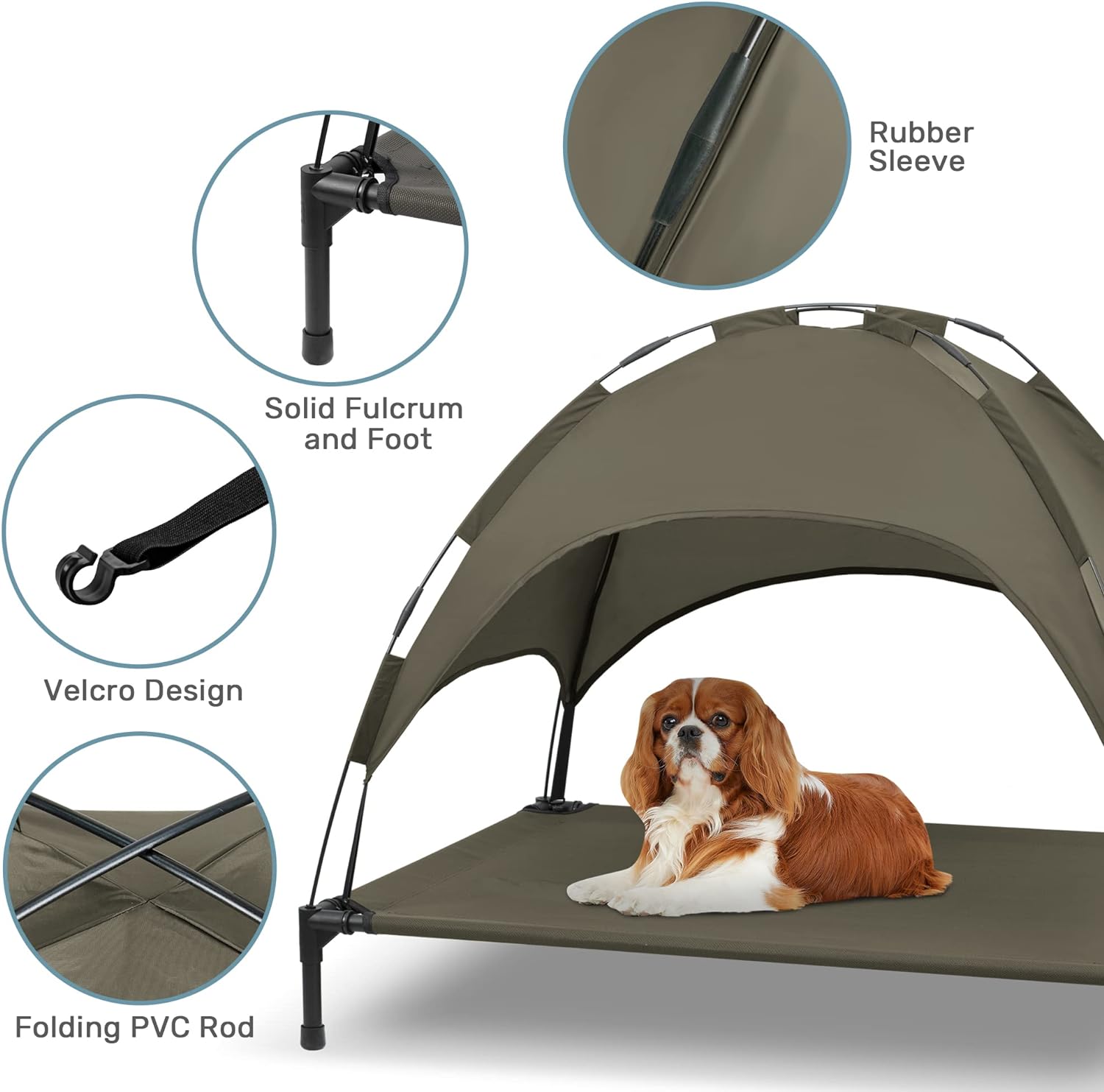 Elevated Dog Bed with Canopy