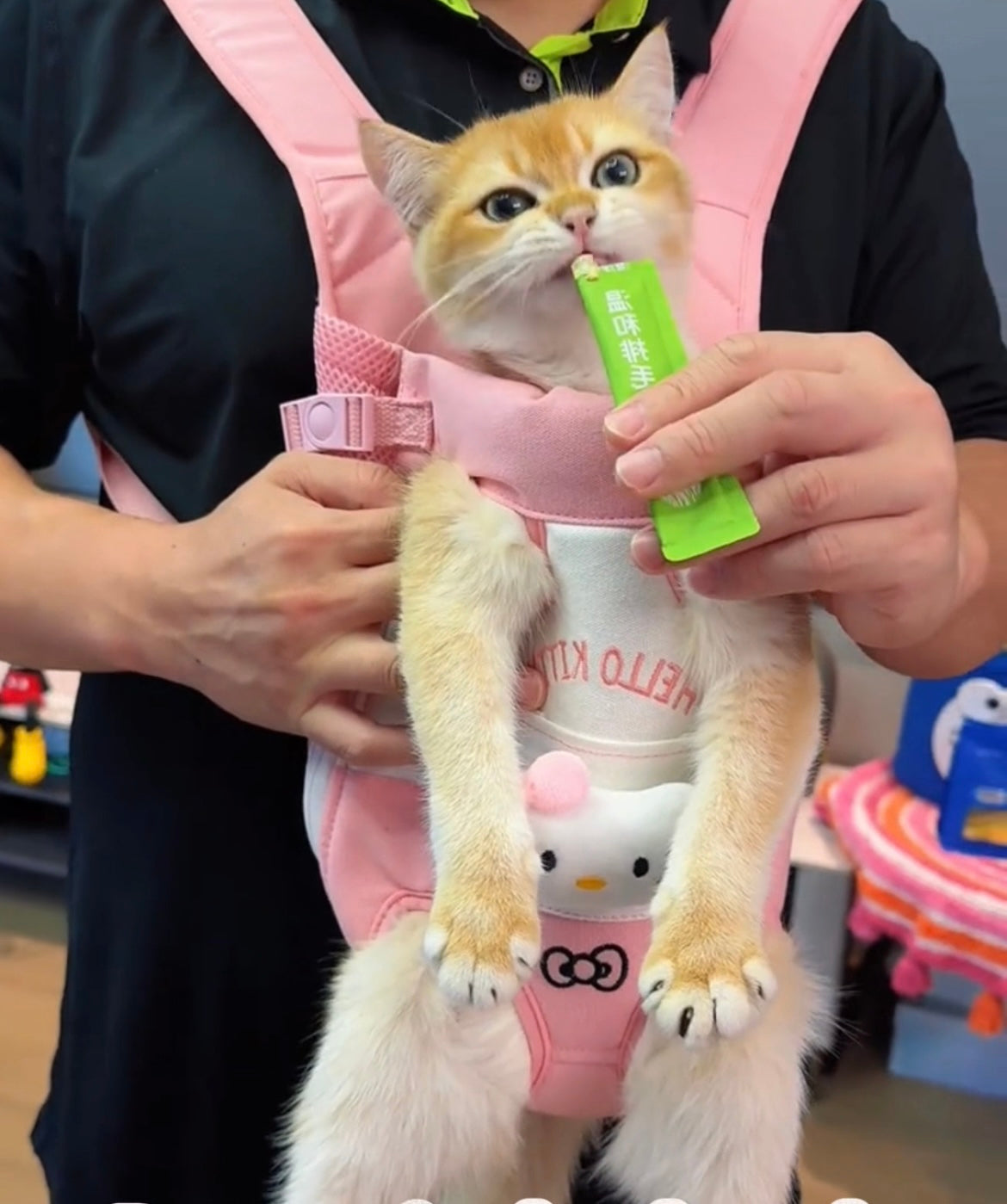 Cartoon Pet Front Carrier Backpack