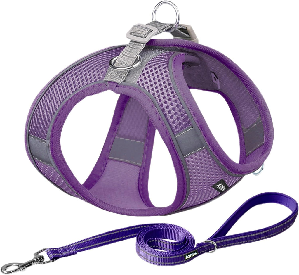 Pet Harness and Leash Set