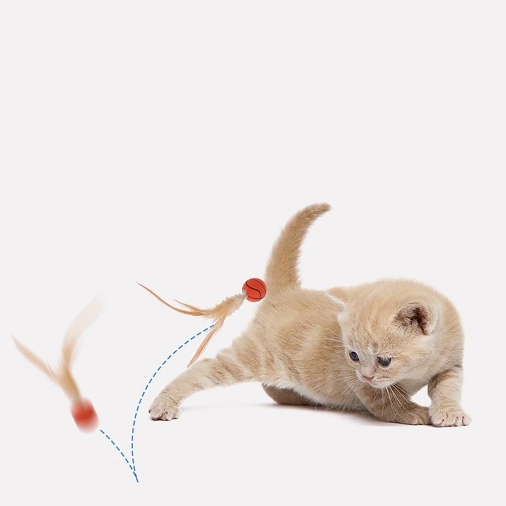 Cat Feather Ball Toys Cat Toys for Indoor Cats Bouncy Balls Toys