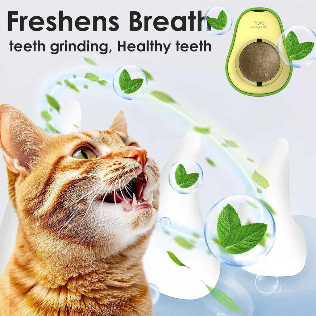 Cat Nip Ball, Catnip Wall Balls Snack