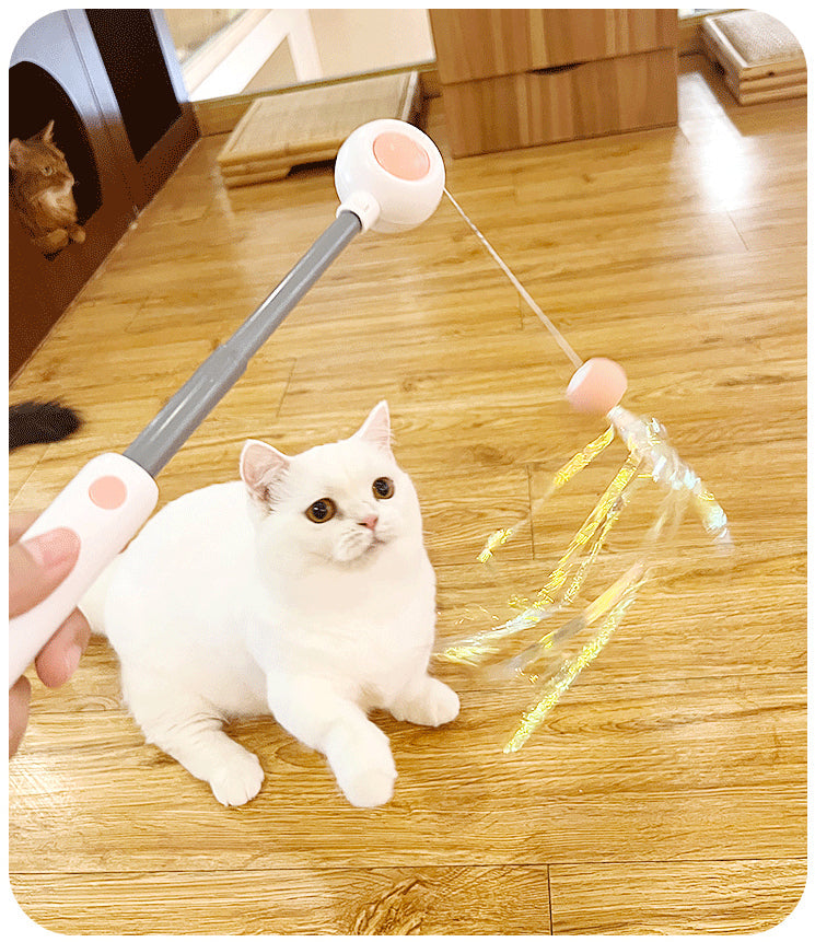 Retractable Cat Wand