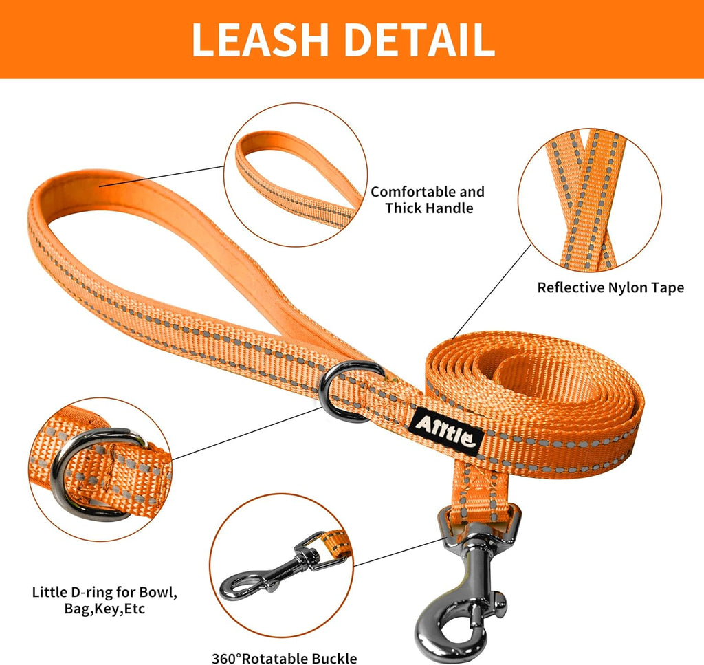 Pet Harness and Leash Set