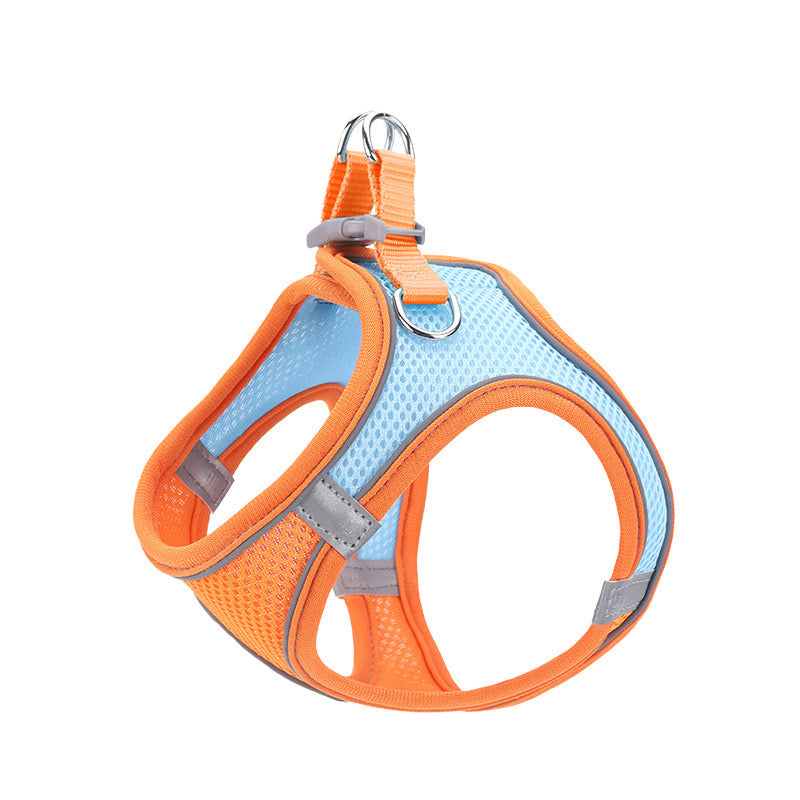 Pet Harness and Leash Set