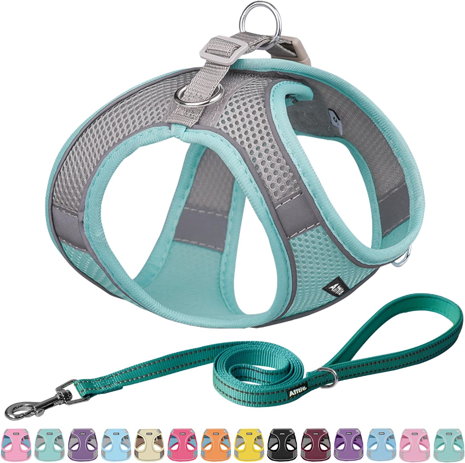 Pet Harness and Leash Set