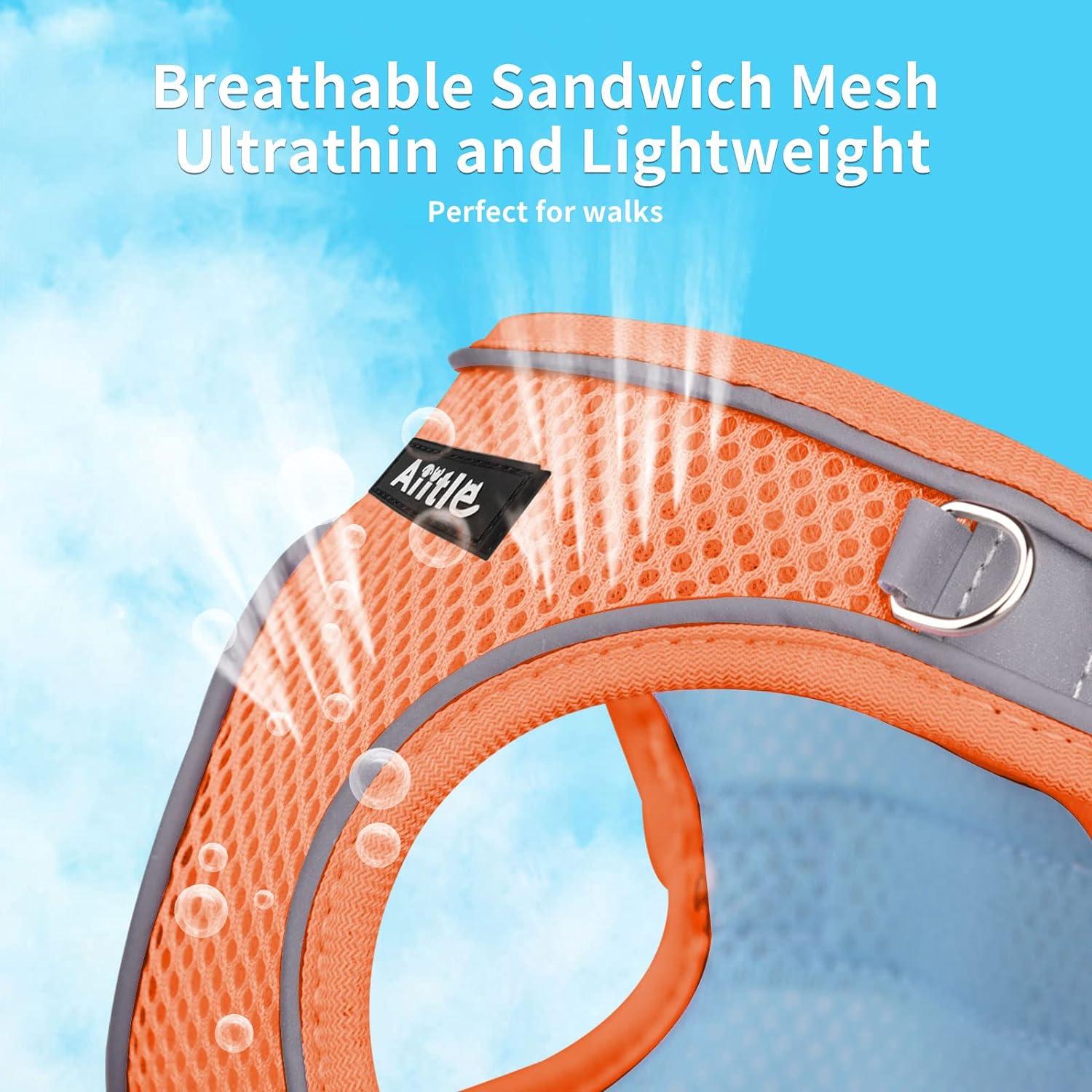 Pet Harness and Leash Set