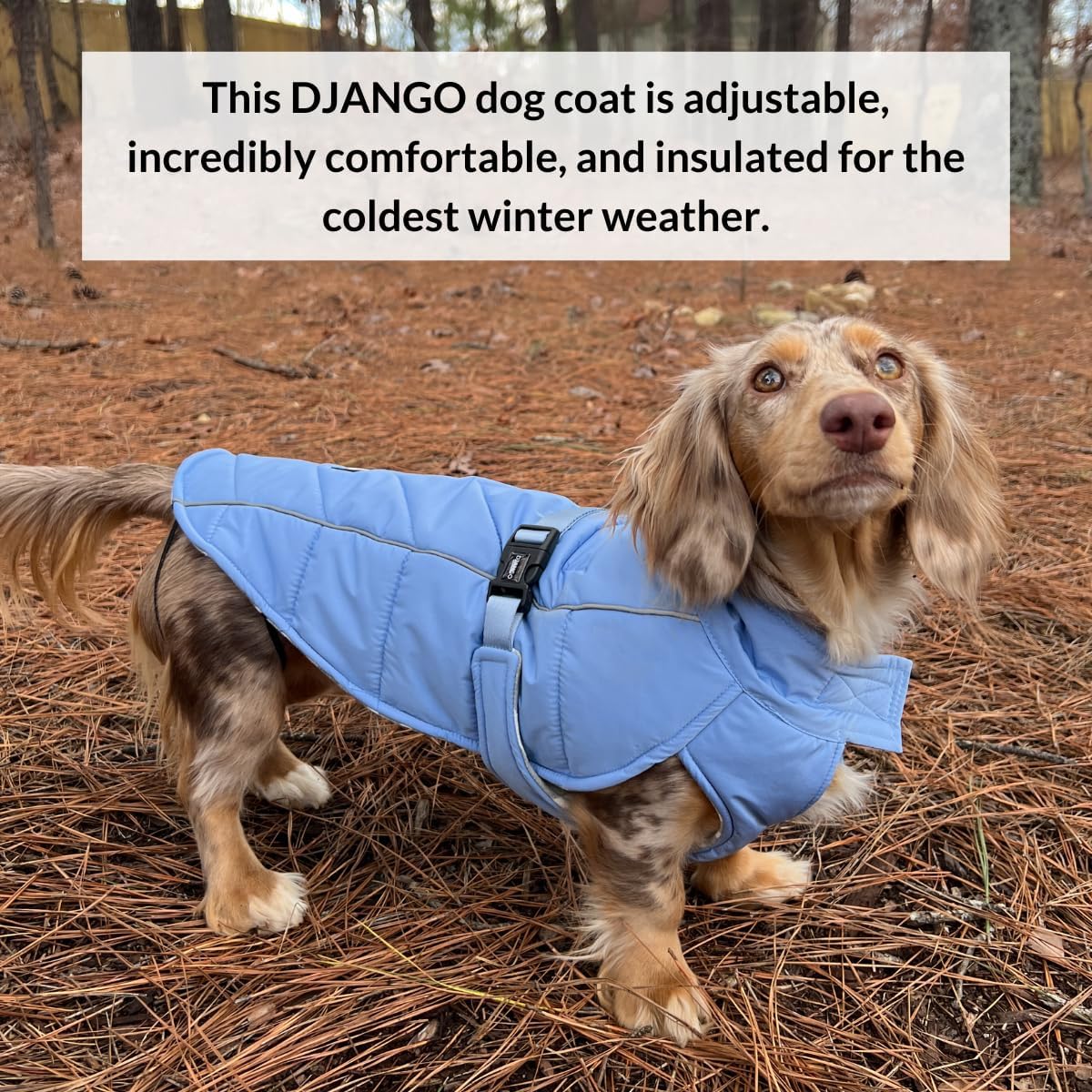 Winter Dog Coat
