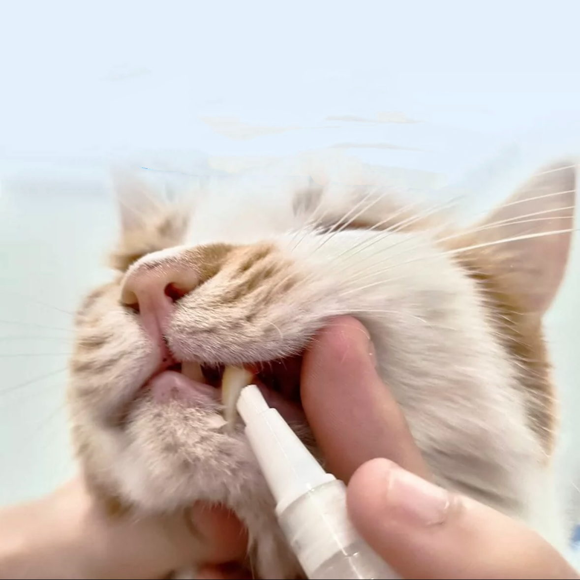 Cat & Dog  Teeth Repairing Kit, Pet Teeth Cleaning Pen for Dental Care,