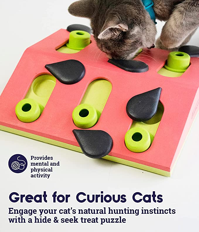 Interactive Cat Treat Puzzle