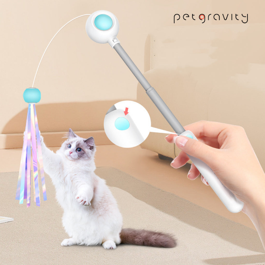 Retractable Cat Wand
