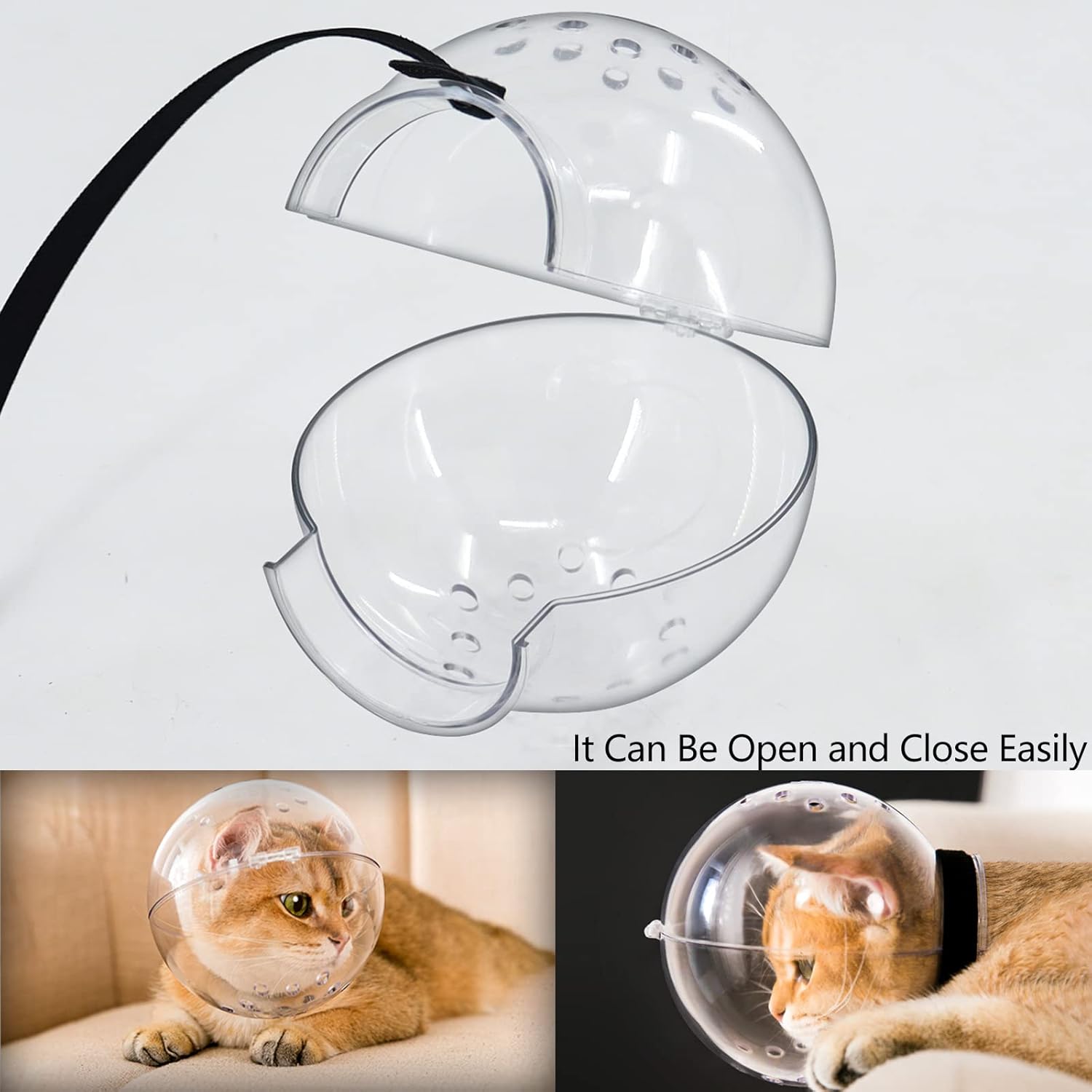 Cat Transparent Muzzle with Breathable Hood