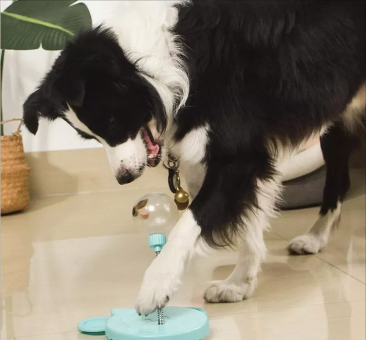 Pet Self-Playing Ball