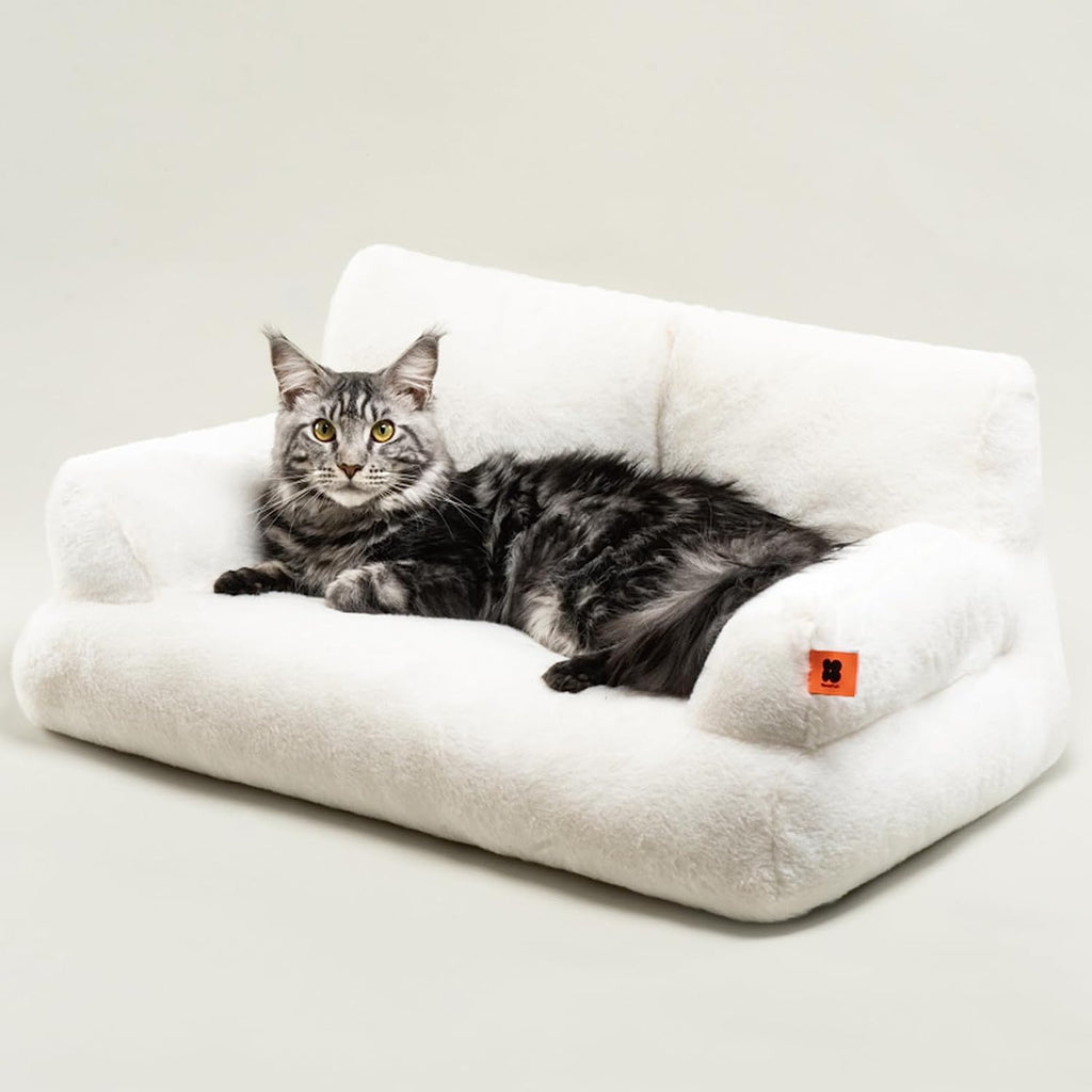 Pet Couch Bed,Sofa Washable Cat Beds for Medium Small Dogs & Cat