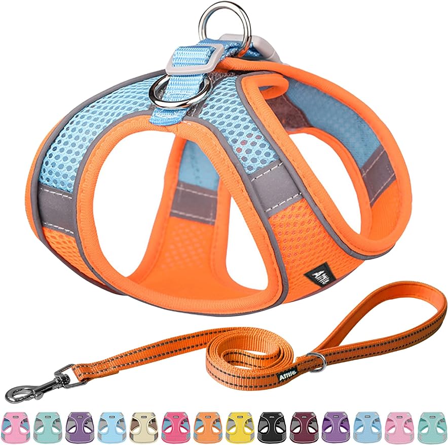 Pet Harness and Leash Set