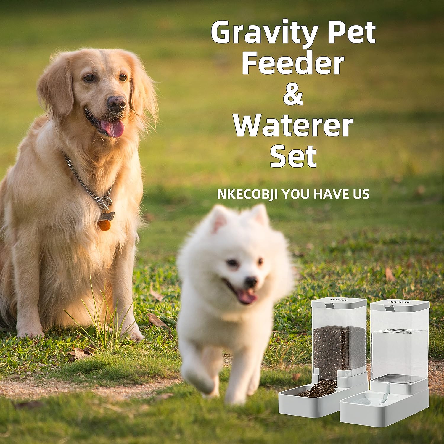 Pet Feeder and Water Dispenser Set