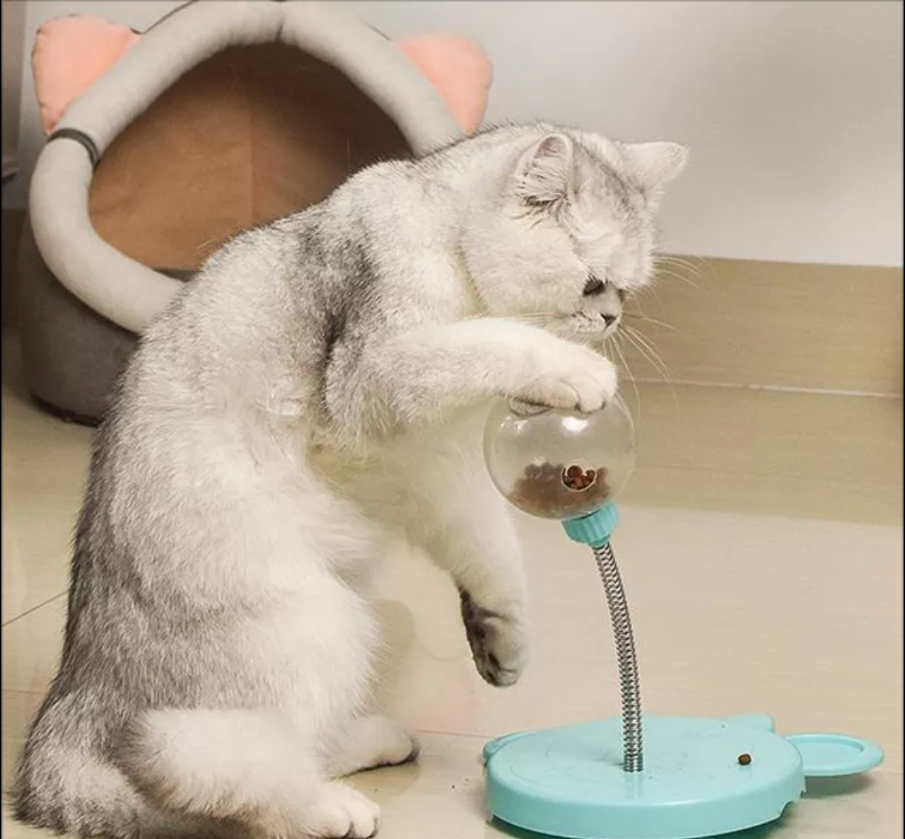 Pet Self-Playing Ball