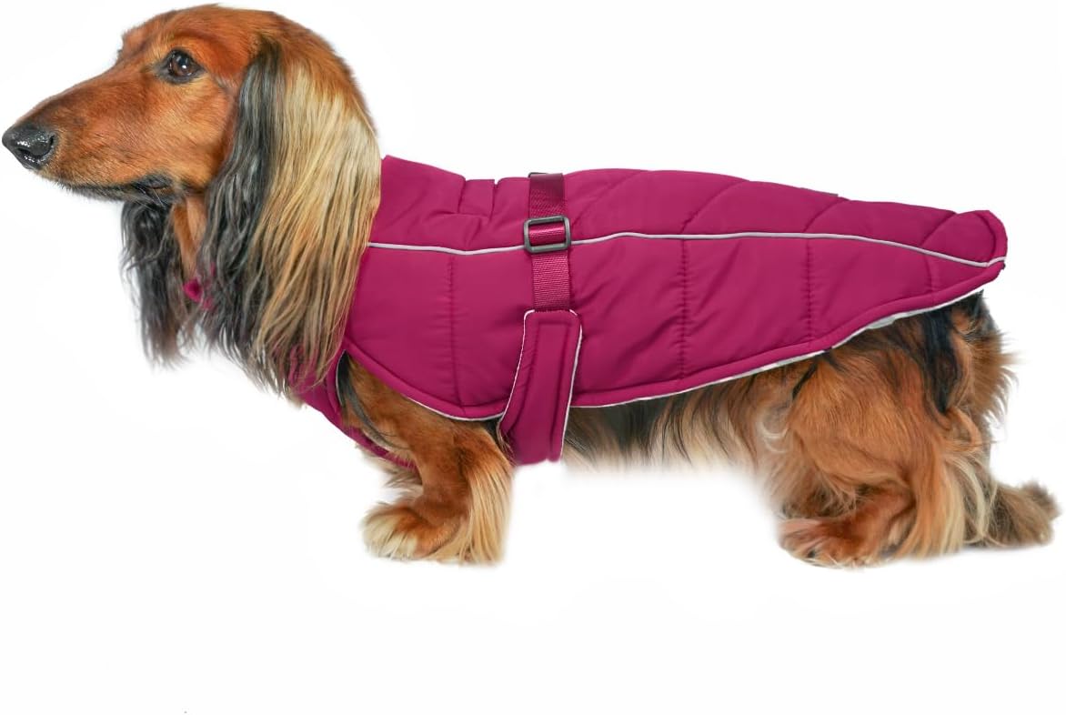 Winter Dog Coat