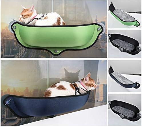 Cat Car Window Perch