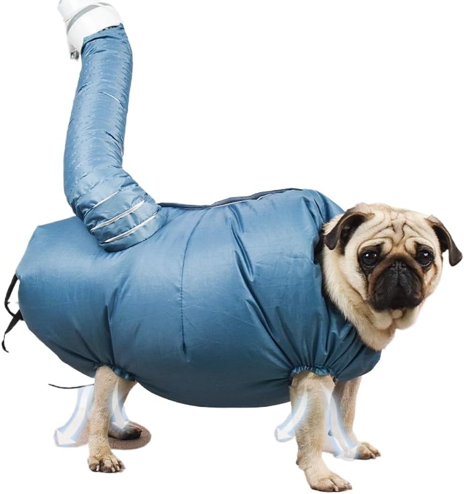 Pet Separate Circulation Room Drying Chassis Special for Cats and Dogs