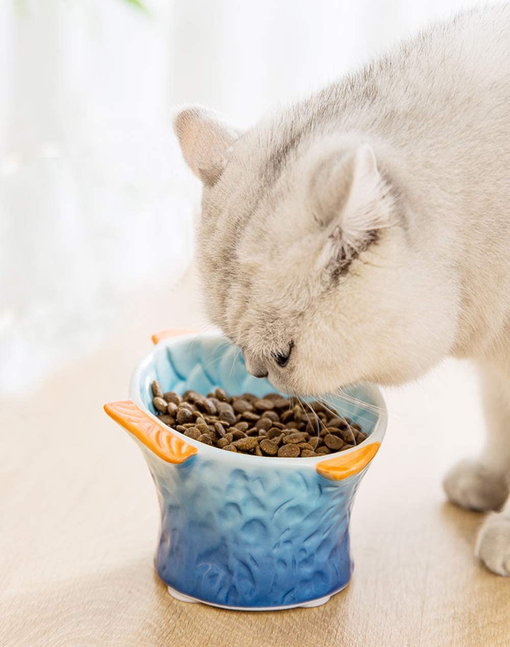 Ceramic Raised Cat Food Bowl