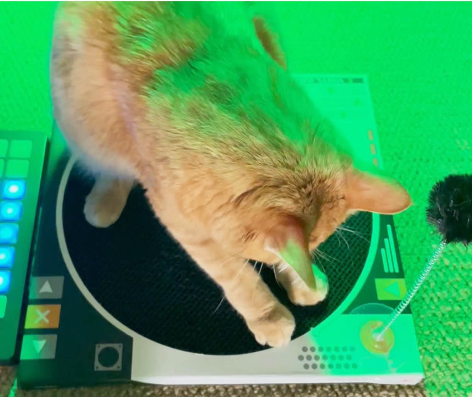 Record Player Cat Scratcher - Cardboard Cat Scratch Pad Cat Dj Scratching Board