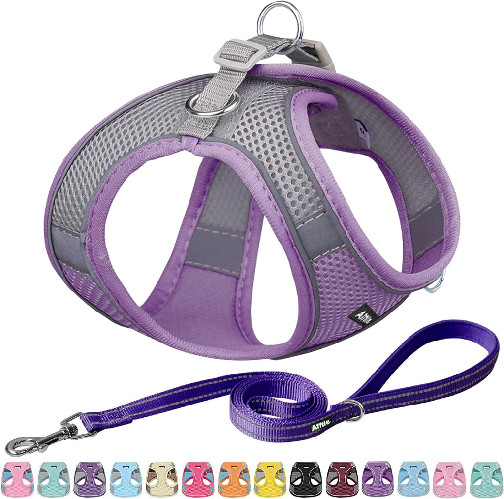Pet Harness and Leash Set
