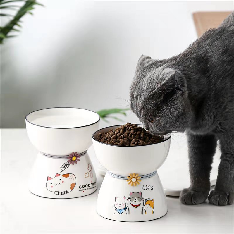 Ceramic Bowl for cat