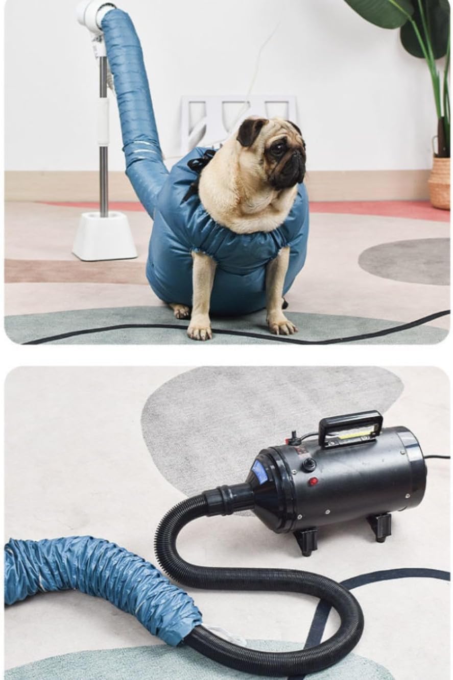 Pet Separate Circulation Room Drying Chassis Special for Cats and Dogs