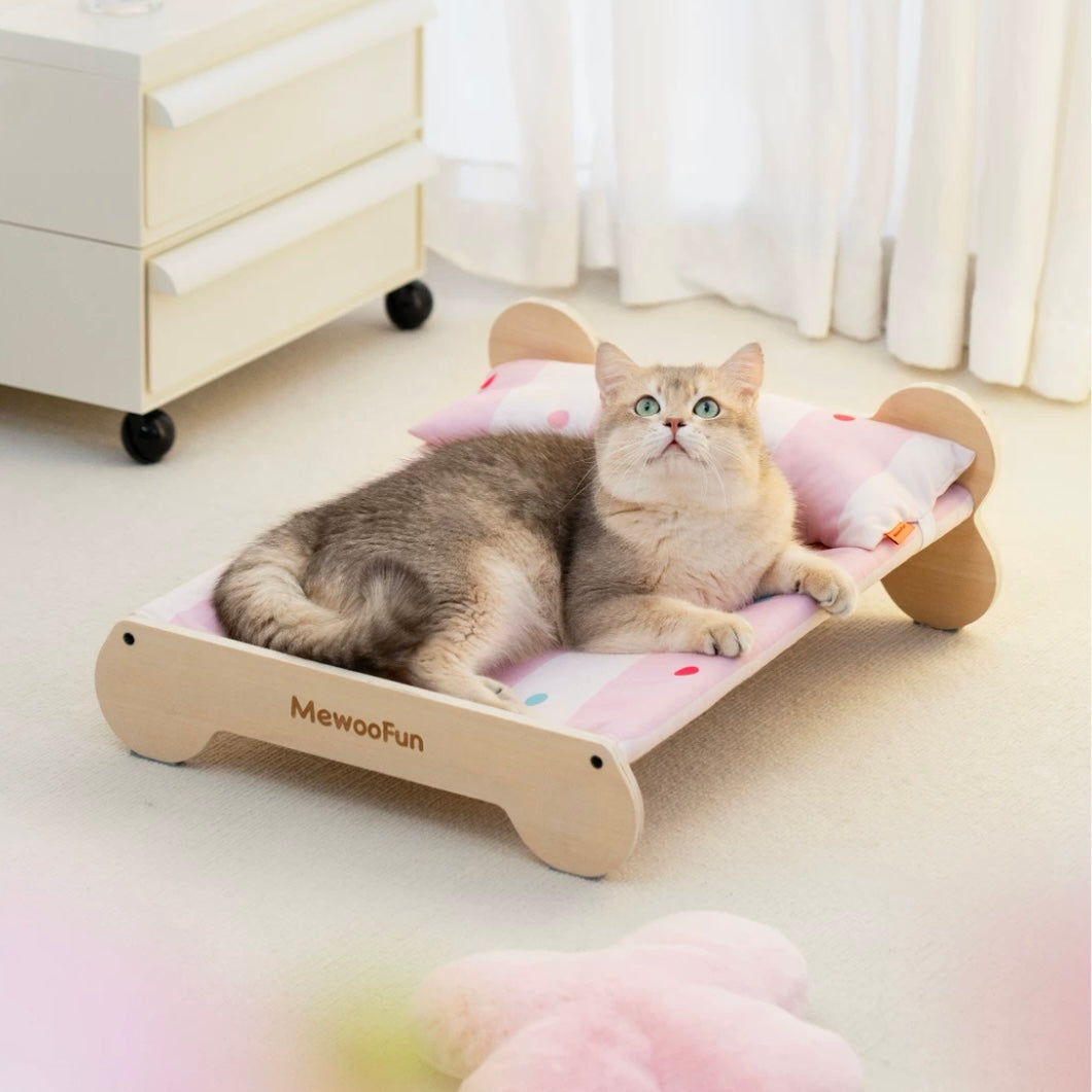 Cat bed