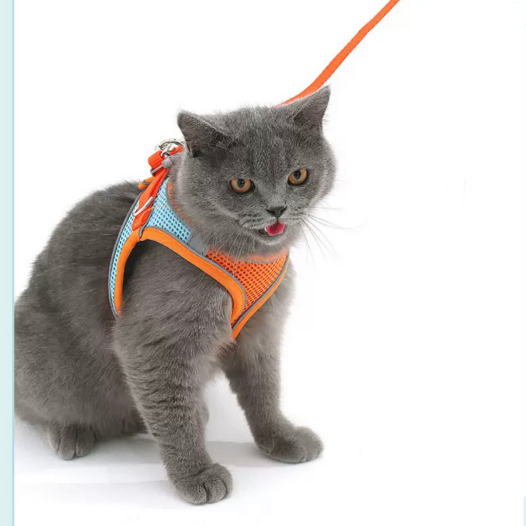 Pet Harness and Leash Set