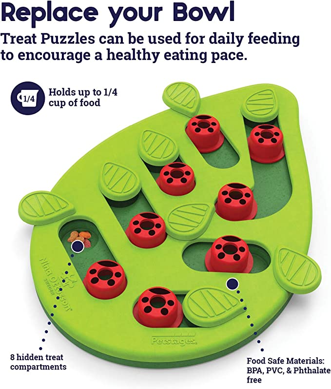 Interactive Cat Treat Puzzle