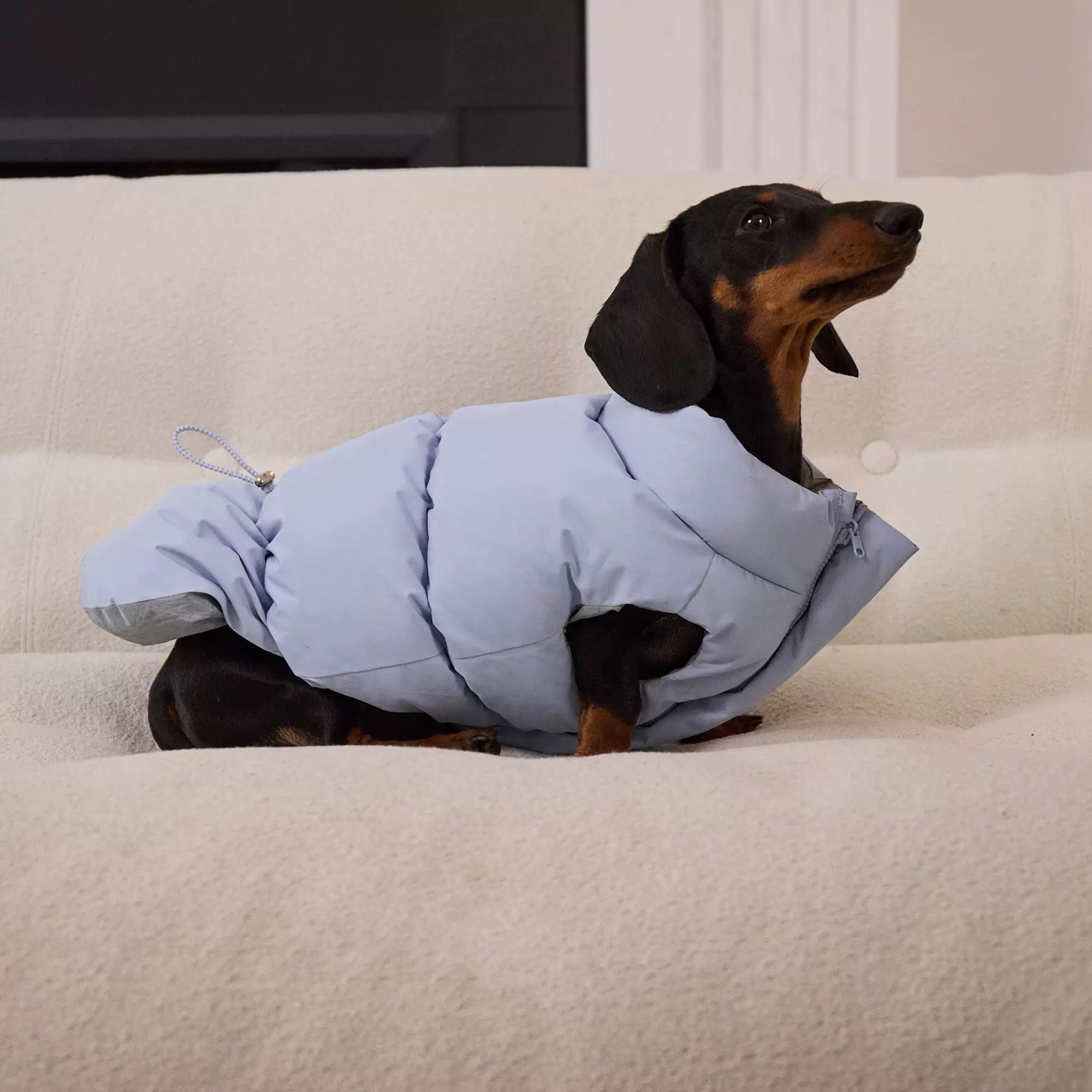 Reversible Dog Puffer Jacket - Blue & Silver Design