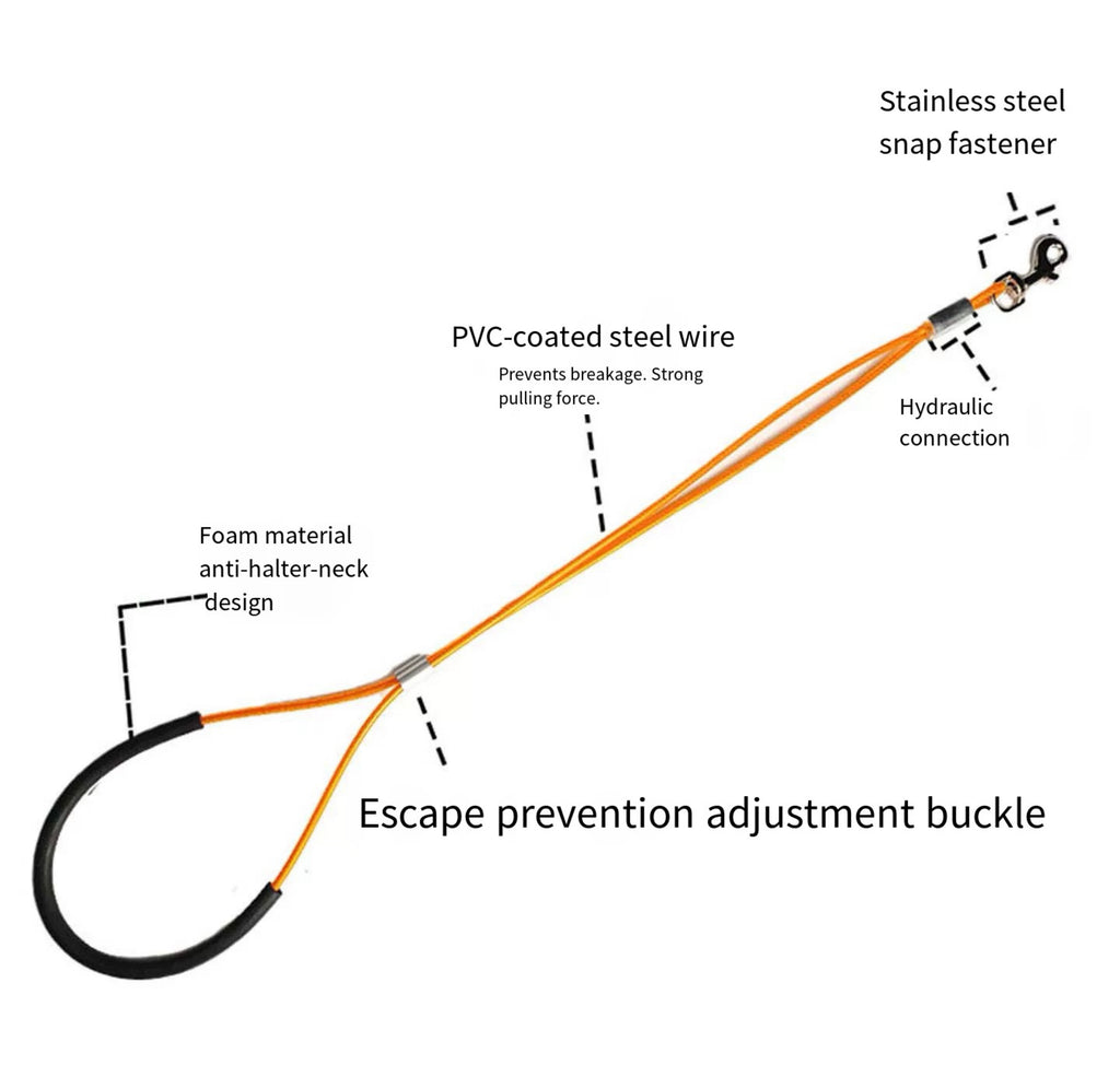 Pet Grooming Loop, Nylon Restraint Noose Adjustable