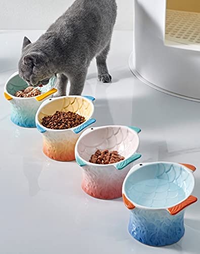 Ceramic Raised Cat Food Bowl