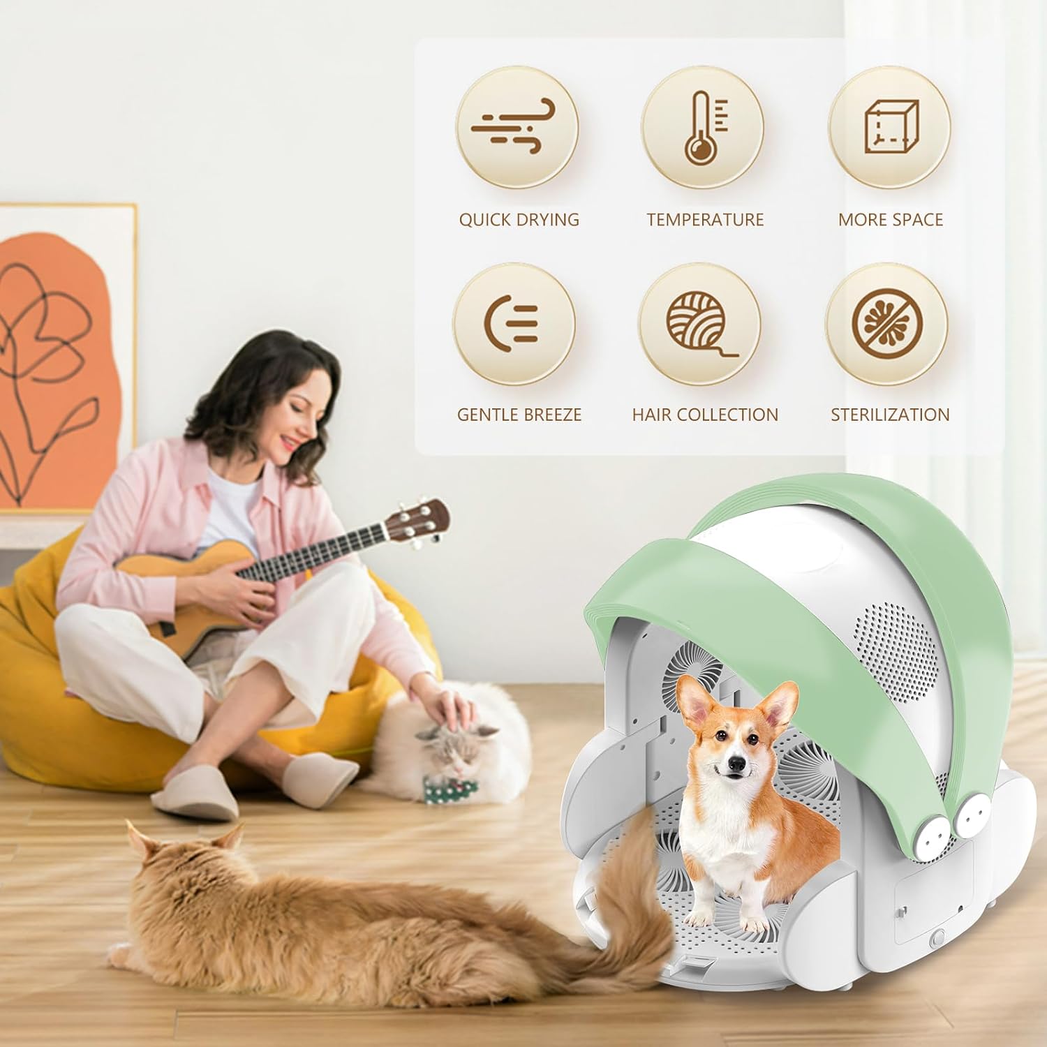 Automatic Pet Dryer Box