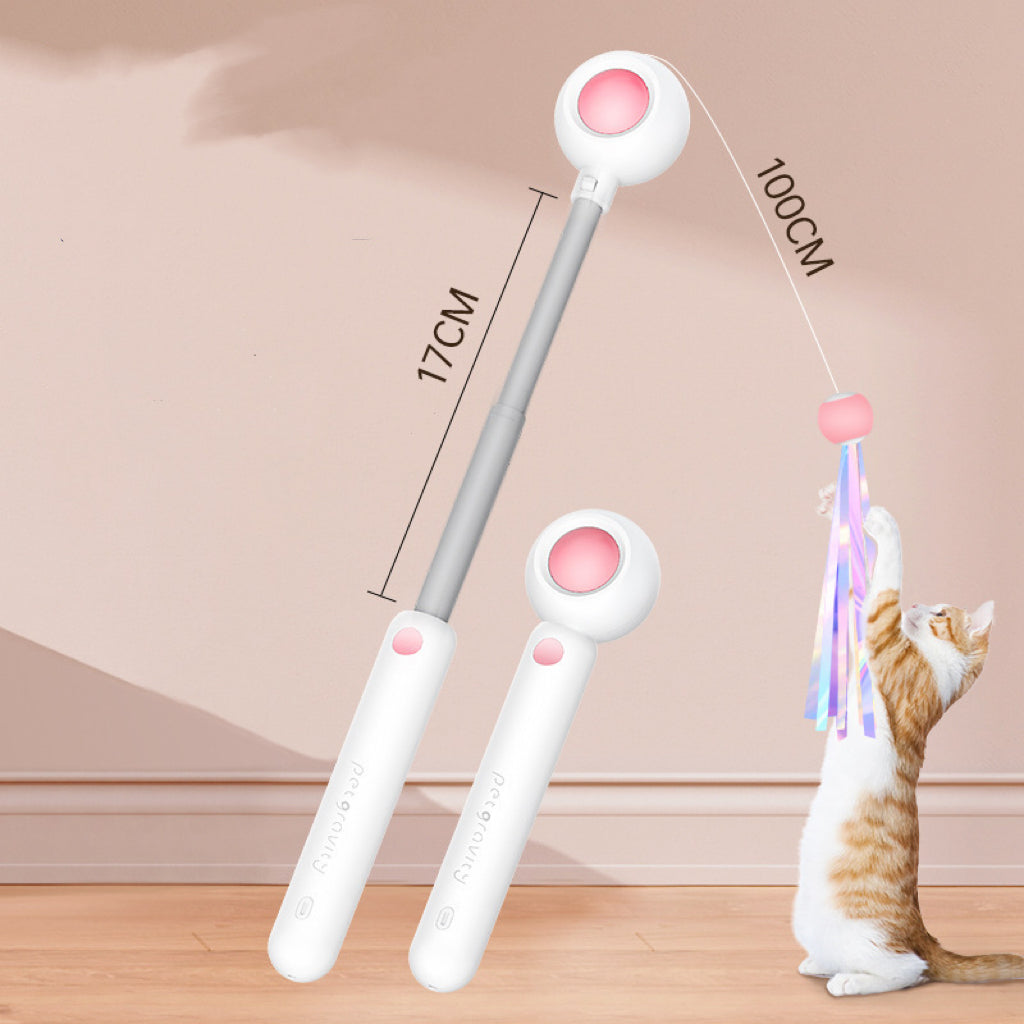 Retractable Cat Wand